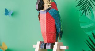 parrot on a perch